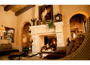 Visionmakers Fireplace 366